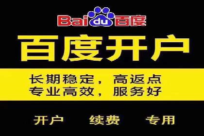 网络推广竞价策略解析与应用案例